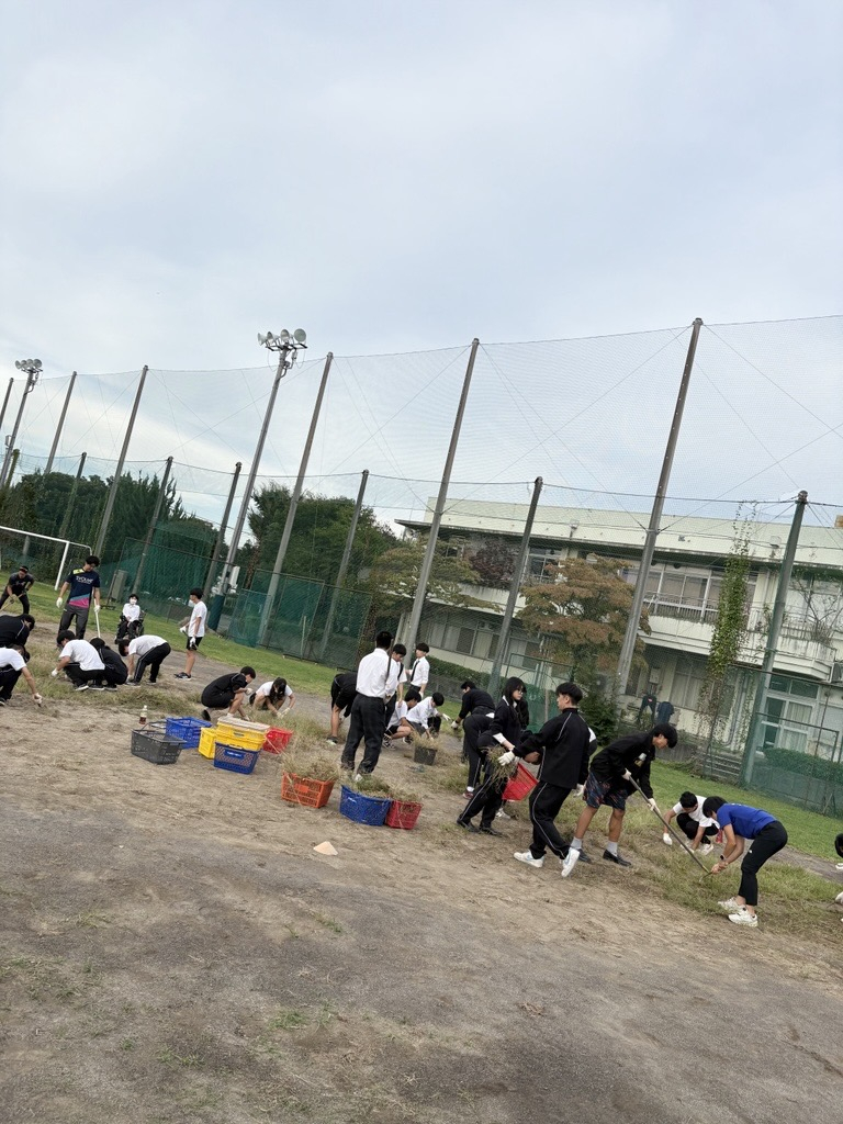 Image - 2025-10-10T100610.877